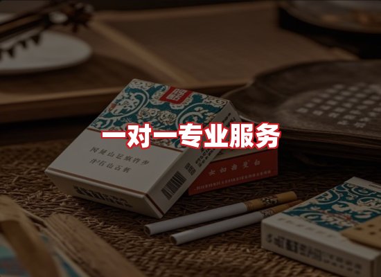 专业团队